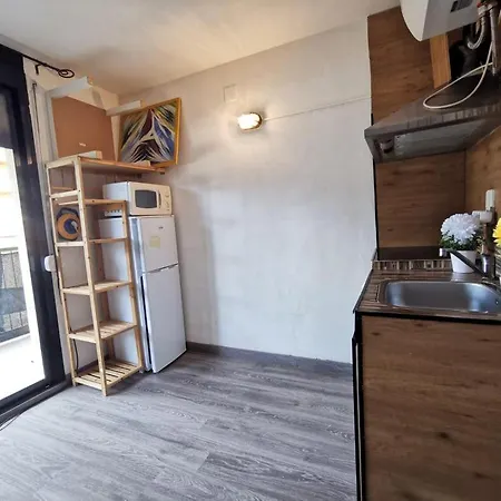Estudio Para Disfrutar De Unas Vacaciones Inolvidables! Roses