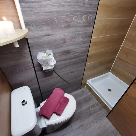 Estudio Para Disfrutar De Unas Vacaciones Inolvidables! Roses